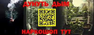 стаф Донецк